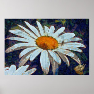 Marguerite Daisy mit Flügelinsekten Blumenart Poster