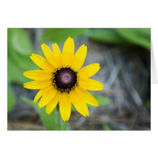 Marguerite de flottement