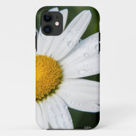 Marguerite Foto mit Morgenrosen iPhone 11 Hülle