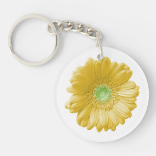 Marguerite jaune