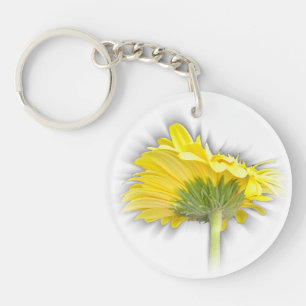 marguerite jaune