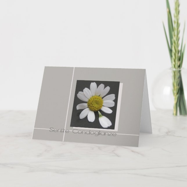 marguerite sur carte de sympathie italienne grise (Devant)