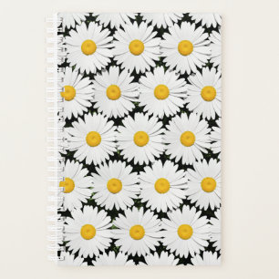 Marguerites
