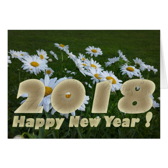 Marguerites blanches 2018 (Devant horizontal)