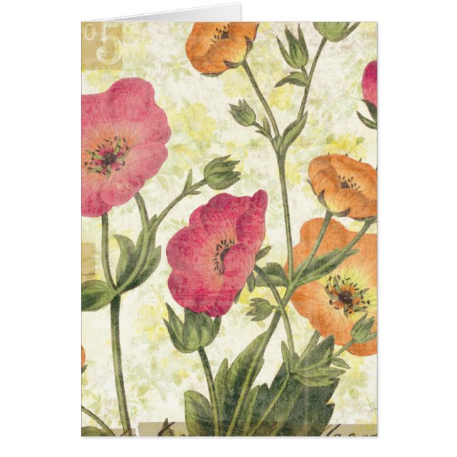 Marguerites colorées (Devant)