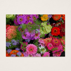 Marguerites colorées vibrantes