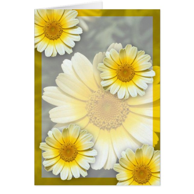 Marguerites jaunes (Devant)