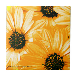 Marguerites jaunes/oranges - carreau de céramique