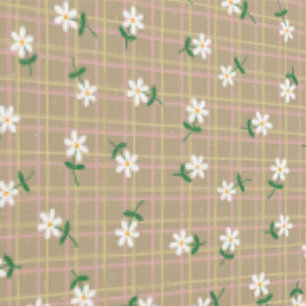 Marguerites sur papier peint à carreaux marron (pe