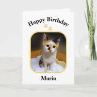 Maria Calico Kitten Happy Birthday Card