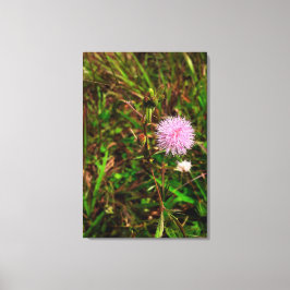 Maria-fecha-a-porta Leinwanddruck