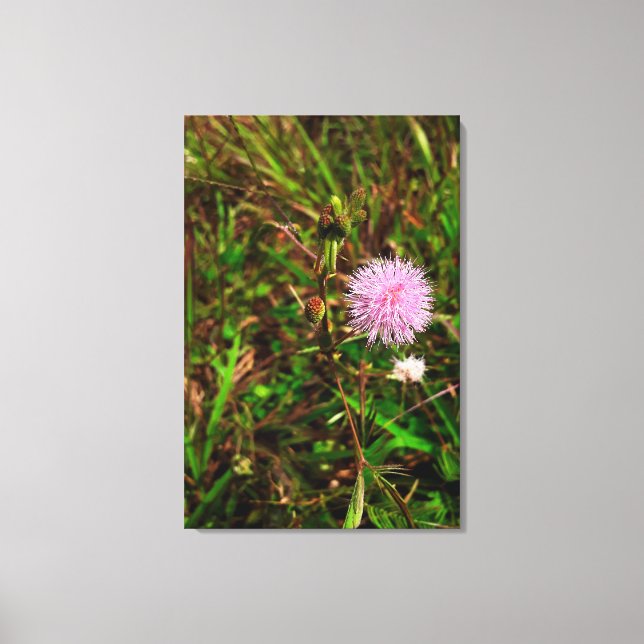 Maria-fecha-a-porta Leinwanddruck (Vorderseite)