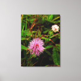 Maria-fecha-a-porta lilas leinwanddruck