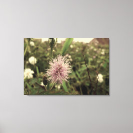 Maria-fecha-a-porta - OLD Leinwanddruck