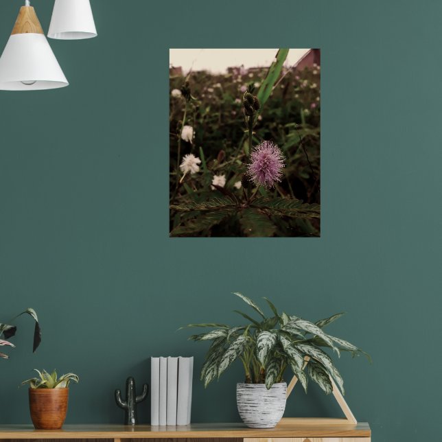Maria-fecha-a-porta - ROSA Poster (Wohnzimmer 1)