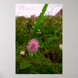 Maria-fecha-a-porta - VERTICAL Poster