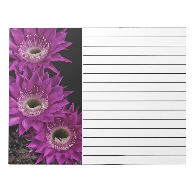 Maria Piazza bis zum dritten Notizblock (Vorderseite)