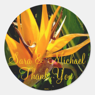 Mariage Bird of Paradise Merci Étiquette