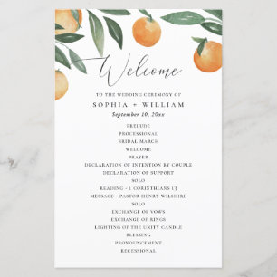 Mariage d'agrumes aquarelle. Programme floral d'ét