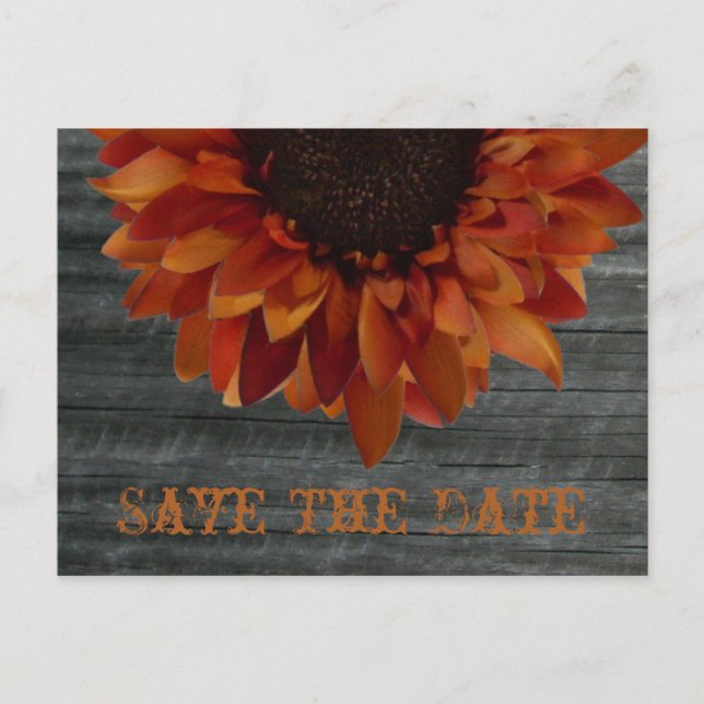 Mariage de automne Enregistrer La Date Carte Posta (Devant)