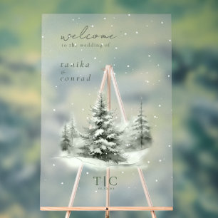 Mariage d'hiver rustique Bienvenue Forêt verte ID1