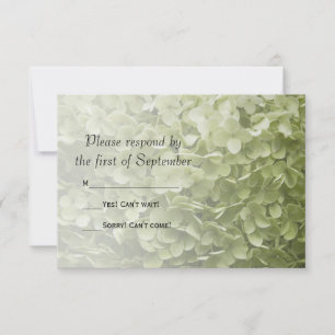 Mariage Floral Hydrangea Vert RSVP