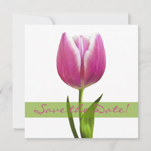 Mariage rose Tulip Enregistrer la date Faire-part