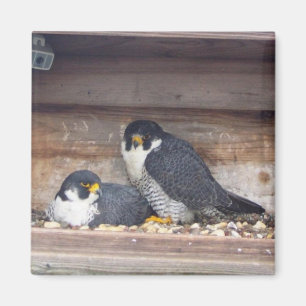 Mariah und Kaver Magnet