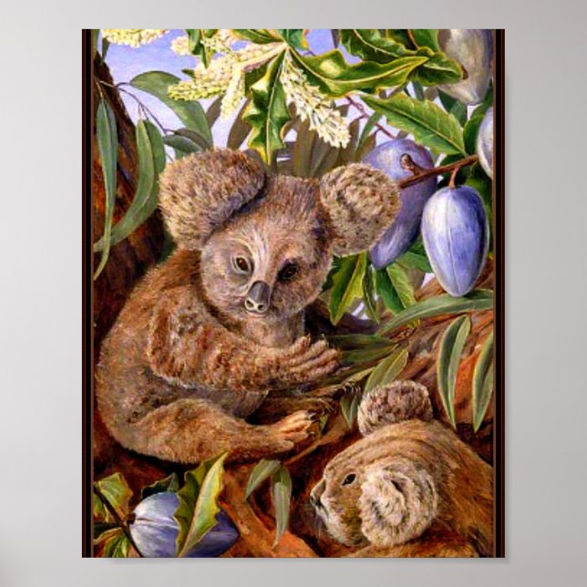 Marianne North - Australische Bären und Birnen Poster (Vorne)