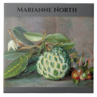 Marianne North Custard Apple Painting