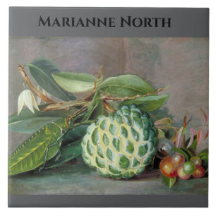 Marianne North Custard Apple Painting Fliese