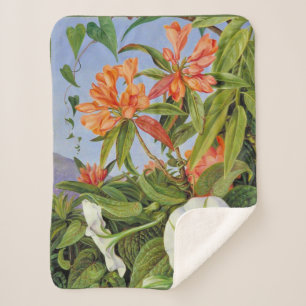Marianne North - Javan Rhododendrum Sherpadecke