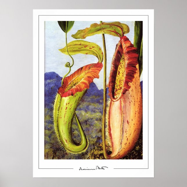 Marianne North Zedign Art Poster #1 (Vorne)
