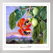 Marianne North Zedign Art Poster #9