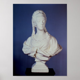 Marie-Antoinette, Porträtfehlschlag Poster