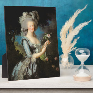Marie Antoinette with a Rose, 1783 Fotoplatte