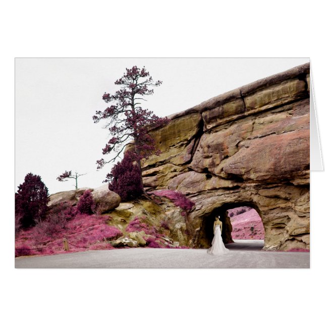 mariée pittoresque : élégant tunnel (Devant horizontal)