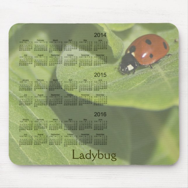 Marienkäfer-3-jähriger 2014-2016 Kalender Mousepad (Vorne)
