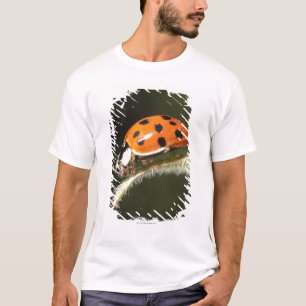 Marienkäfer auf Blatt, Marienkäfer auf Blatt T-Shirt