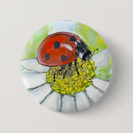 Marienkäfer auf einer Margerite Button