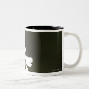 Marienkäfer auf Kamillen-Blume Zweifarbige Tasse