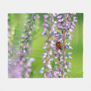 Marienkäfer auf lila Blumen  Fleecedecke