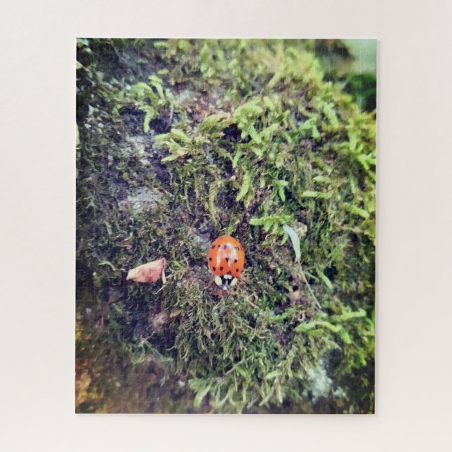 Marienkäfer auf Moos Fotografie (Vertikal)