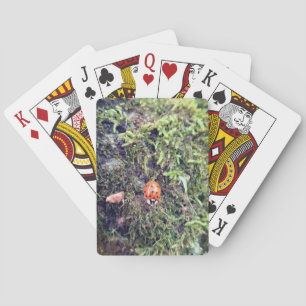 Marienkäfer auf Moos Fotografie Spielkarten