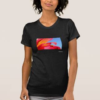 Marienkäfer auf Rosen-T-Shirt T-Shirt