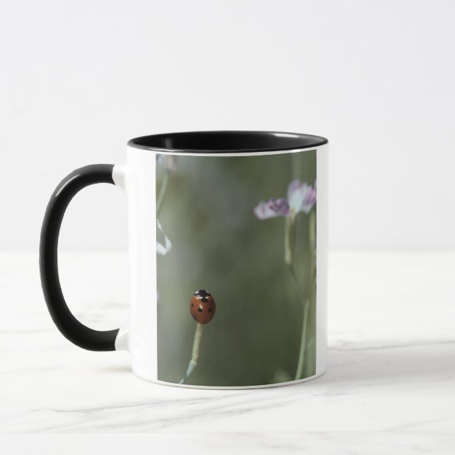 Marienkäfer auf Stamm Tasse (Links)