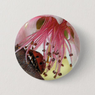 Marienkäfer-Autowäsche-Knopf Button