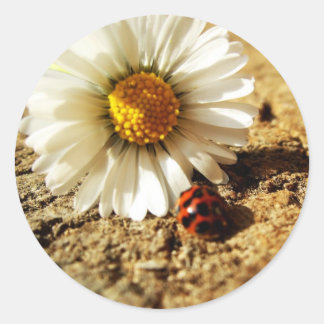Marienkäfer Blume Runder Aufkleber