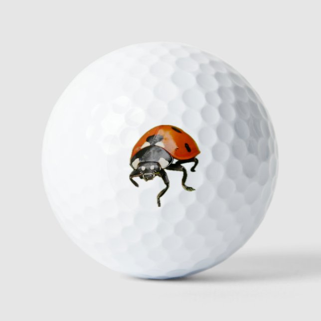 Marienkäfer-Golfbälle Golfball (Vorderseite)