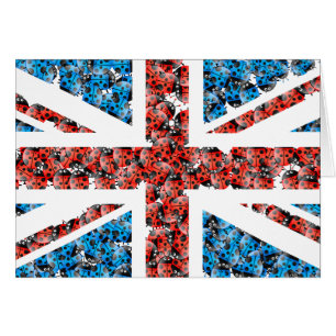 Marienkäfer Großbritannien